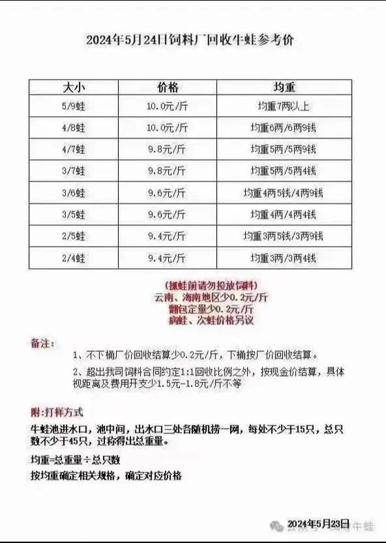 牛蛙行情一斤多少钱
