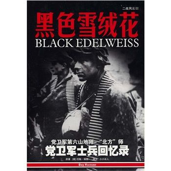 二战风云3