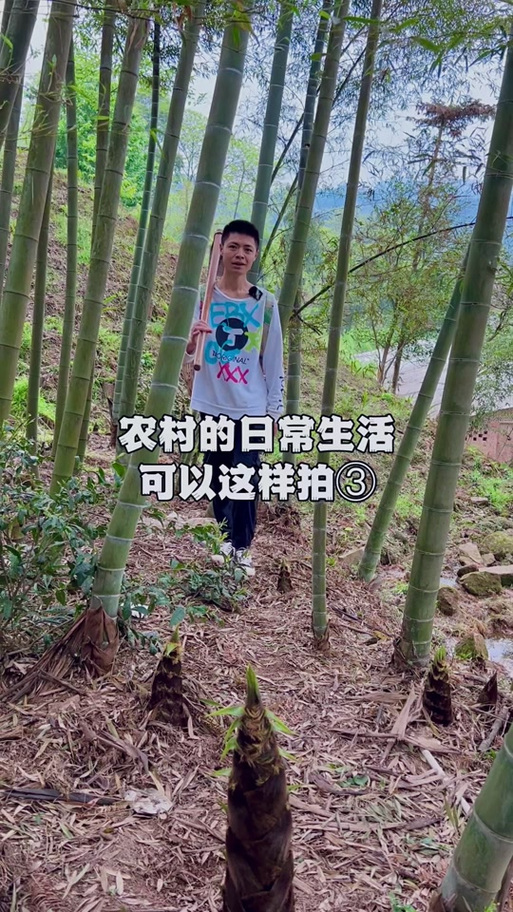 我的乡村日常生活冷狐版亮点截图3