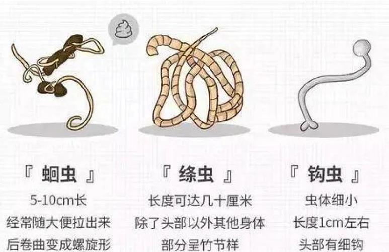 如何消灭体内寄生虫