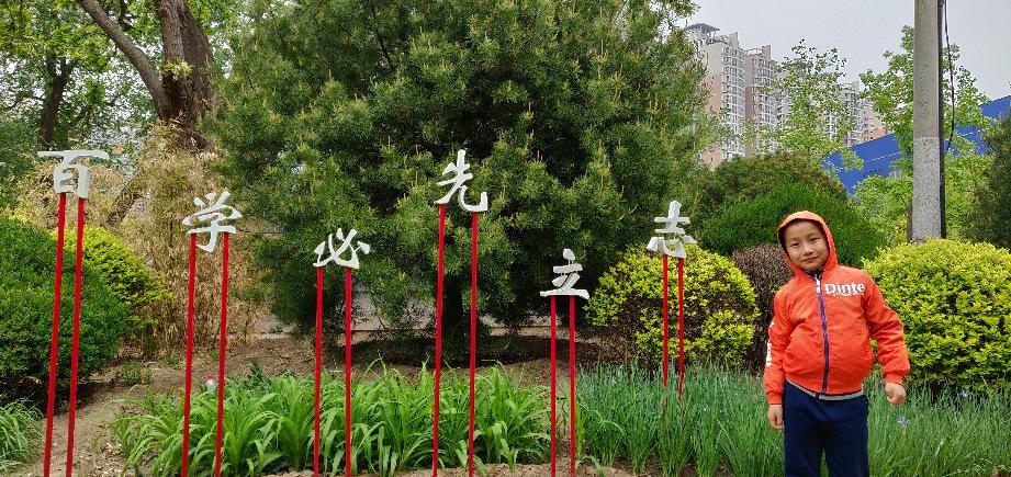 梦想花园花语 梦想花园花语