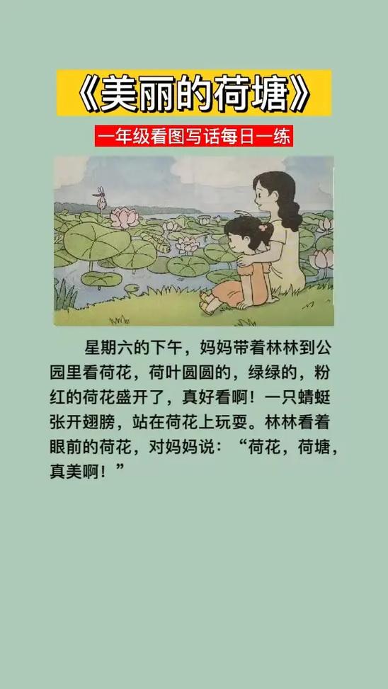 看图写话小蜻蜓范文截图2