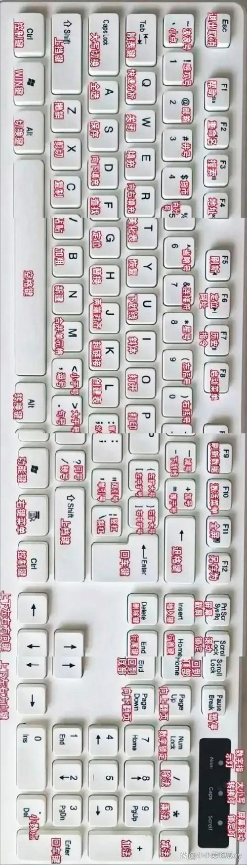 英文翻译的翻译器截图2