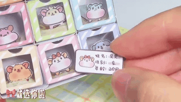 仓鼠的日常无限起司版