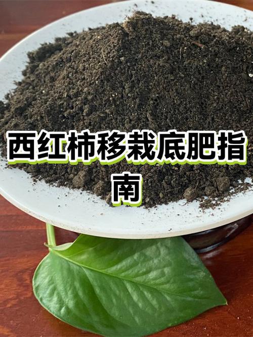 西红柿需要什么肥料最好截图1