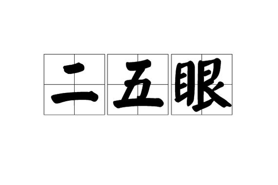 二五眼啥意思截图1