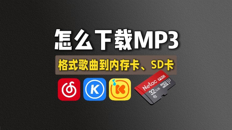SD卡应用下载截图2