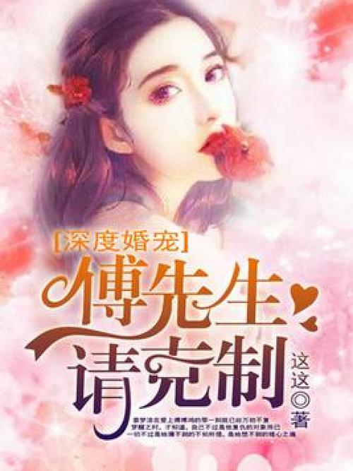 关于傅一的小说