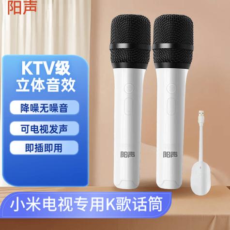 手机做电视的麦克风截图2