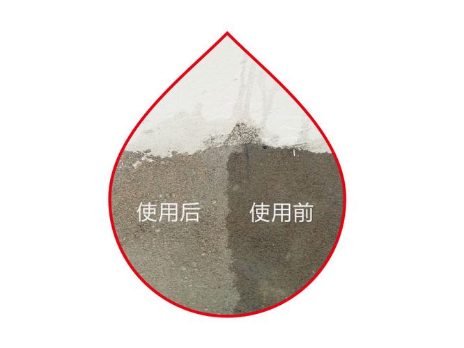 防止蜘蛛爬墙的方法