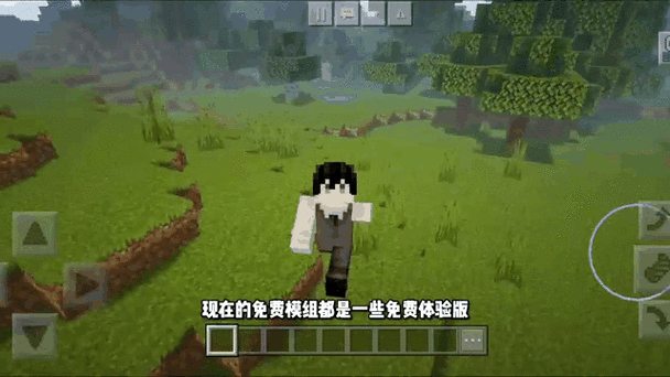 96辅助我的世界网易手机版截图3