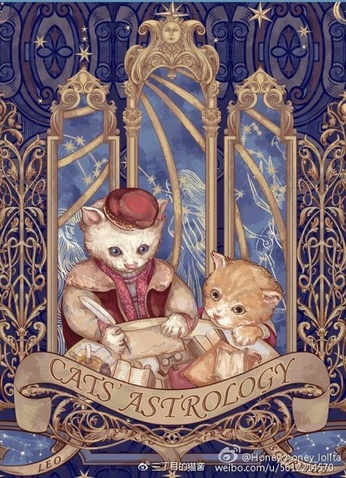 占星猫塔罗牌截图1