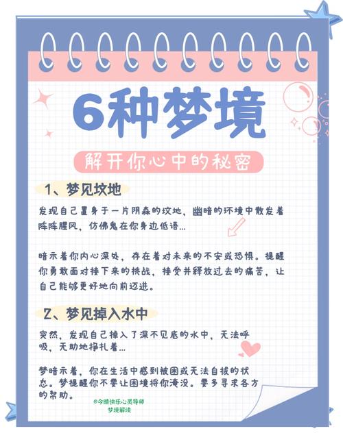 梦有几种截图2