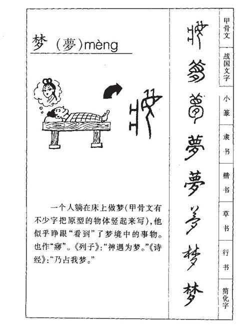 梦有几种截图3
