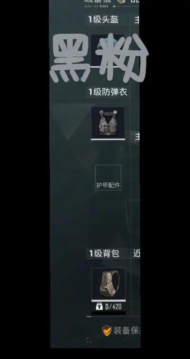 和平精英粉丝牌怎么弄截图2