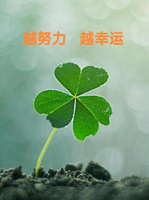 因为努力所以幸运