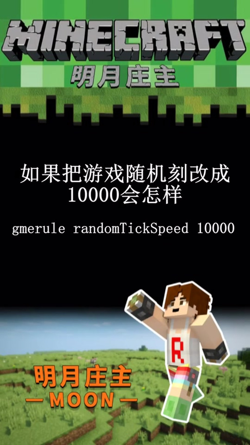 我的世界随机刻速度指令1.16截图2