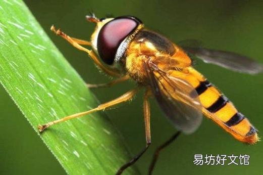 毒是碱性还是酸性截图2