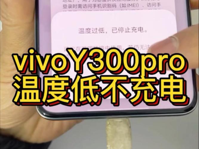 vivo显示手机温度过低无法充电