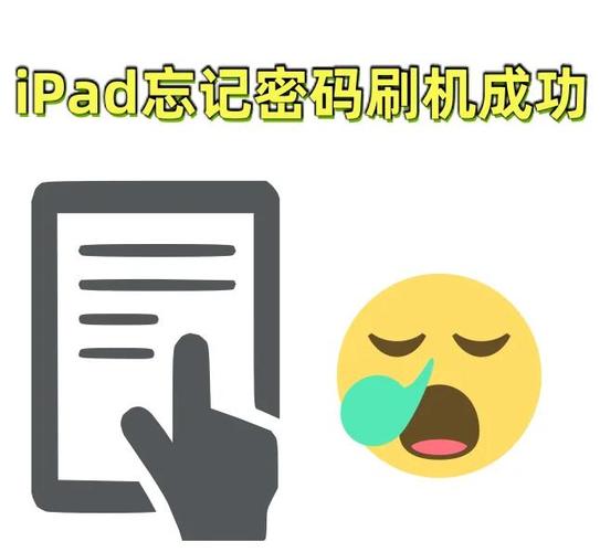 输入ipad密码