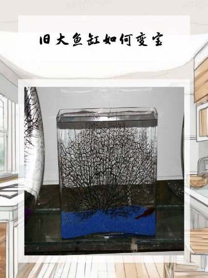 旧鱼缸回收多少钱一个