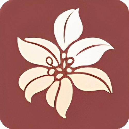 300百合会官网版截图2