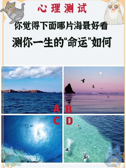 测试命运免费测试 测试命运免费测试
