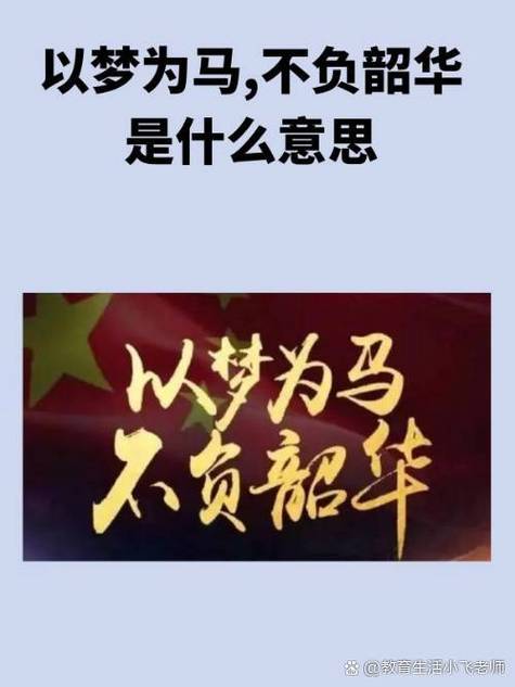 人生尽兴,不负韶华什么意思