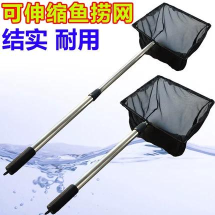 锦鲤网 锦鲤网