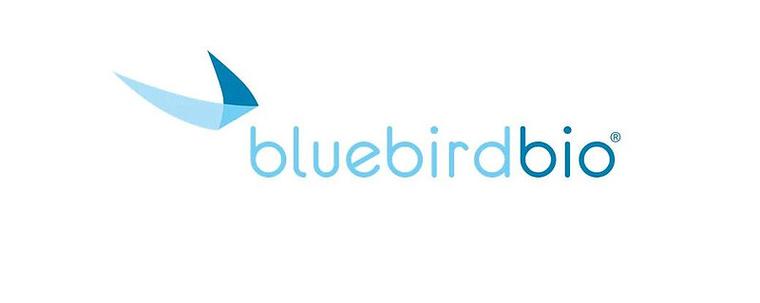 bluebird软件