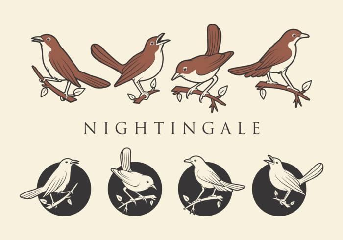 nightingale的象征意义