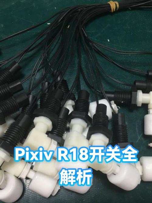 pixiv网页版如何打开r18设置截图3