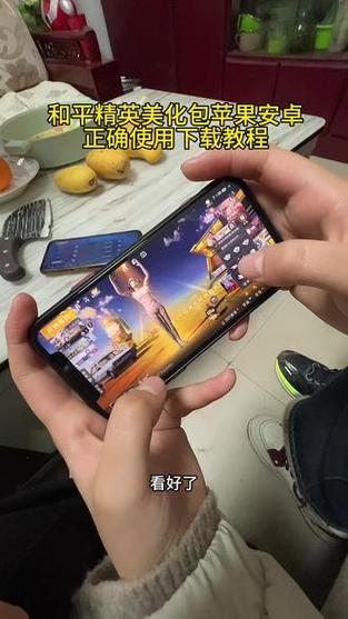 和平精英文件包安装截图3