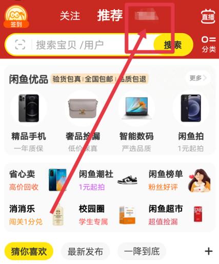 怎么查看自己的闲鱼号