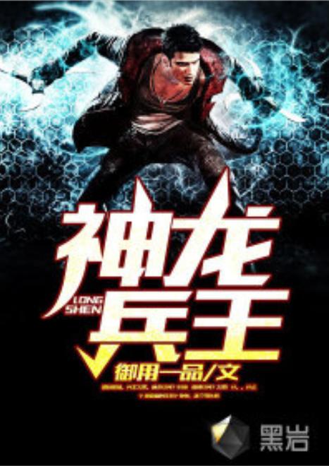 神龙兵王 小说