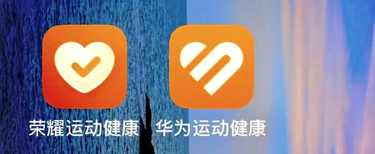 荣耀运动