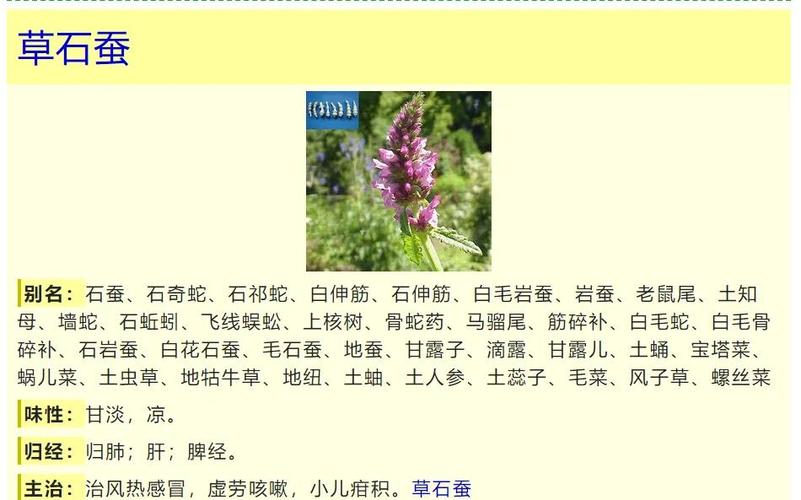 中药特效药
