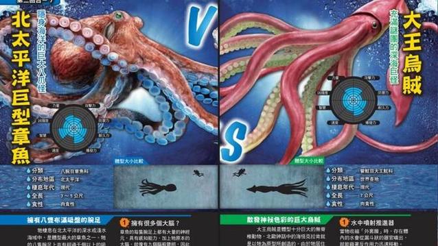 大王乌贼vs巨型章鱼