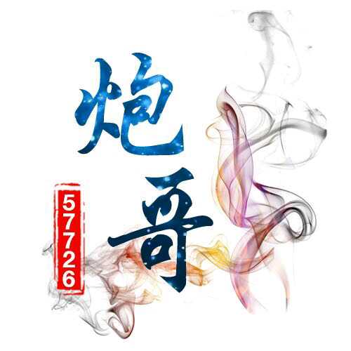 炮哥出击正义视频