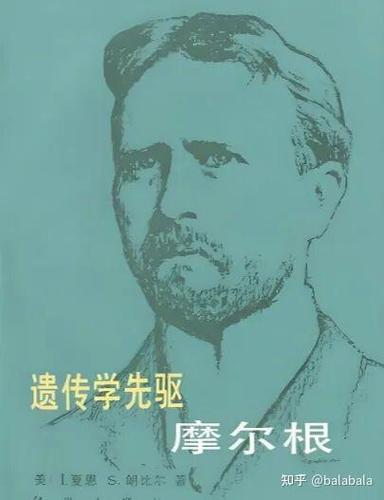 文明时代出到第几了