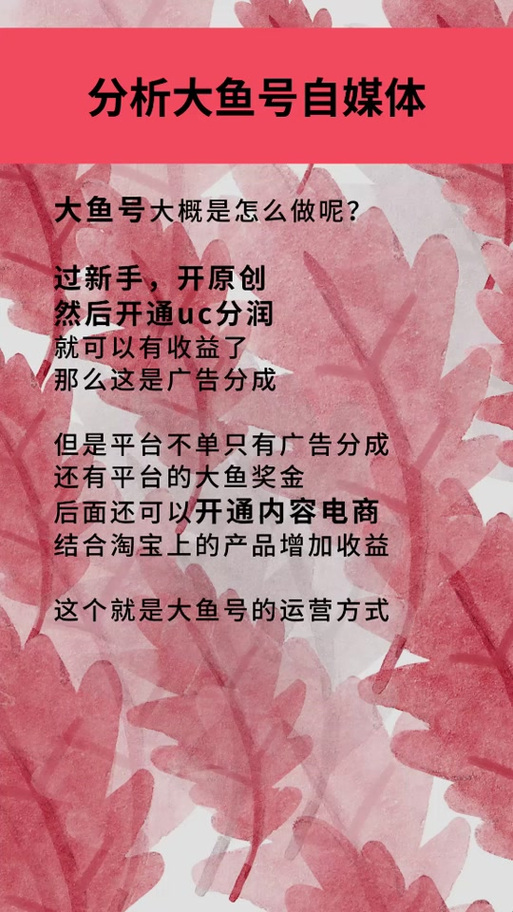 大鱼号要怎样才能有收益