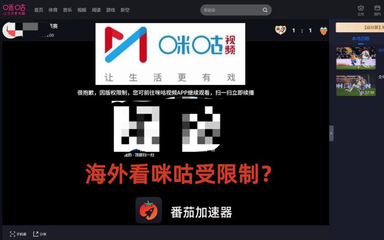 外国的软件在中国怎么才能用截图2