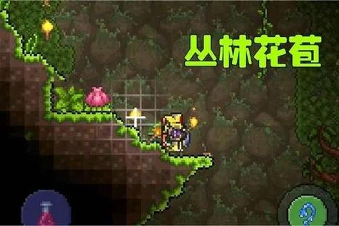 泰拉瑞亚世纪之花花苞