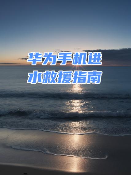 手机进水了还能修好吗
