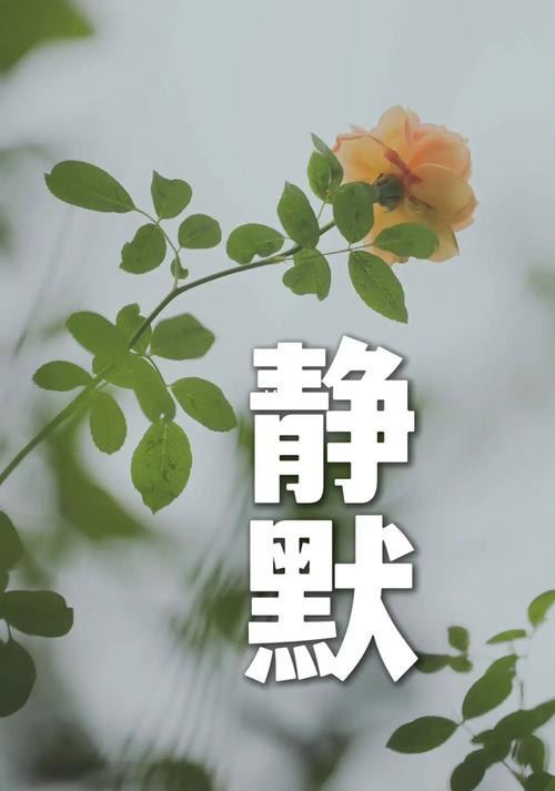 ipad发语音别人听不到