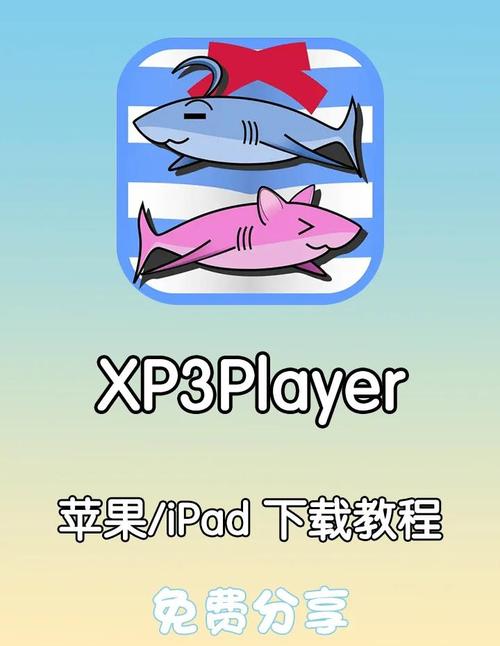 DroidCam 破解版截图3