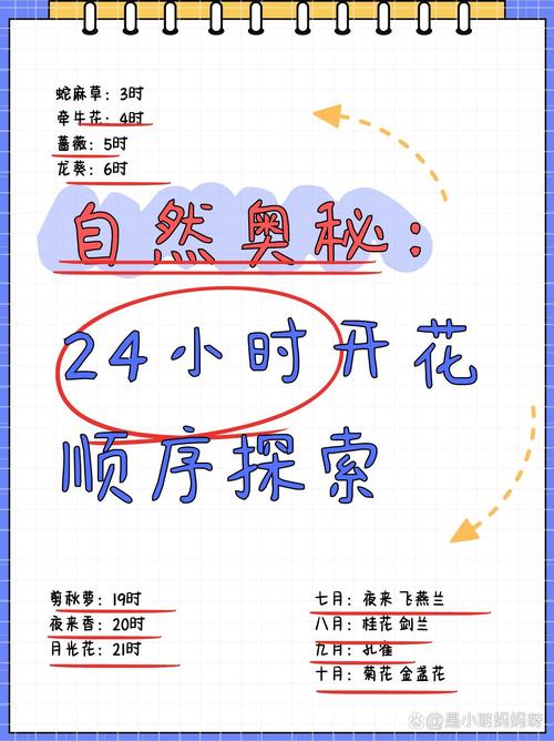 时间顺序与季节顺序的区别