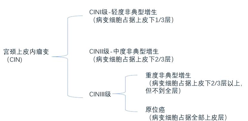 宫颈cin3是良性还是恶性截图2