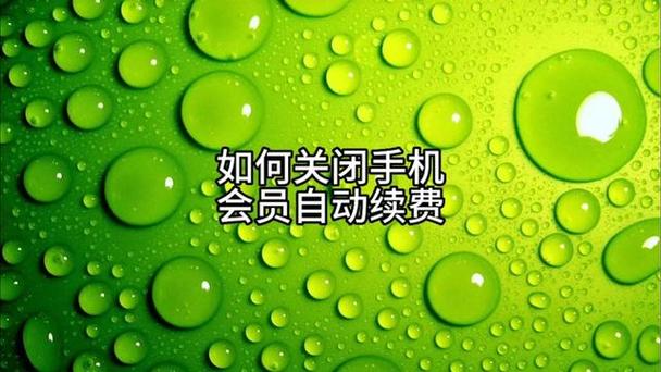 qq会员怎么解除手机付费