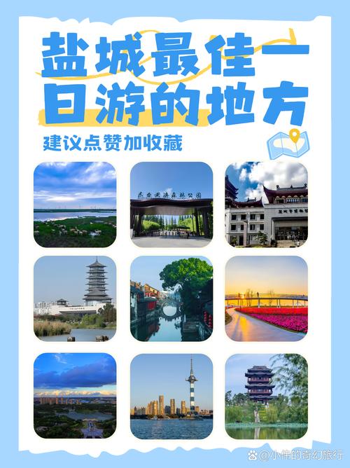 我的盐城官方版